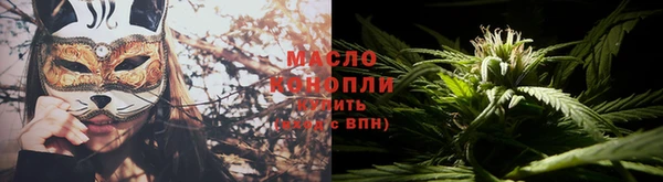 твердый Зеленодольск