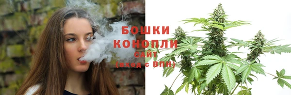 молекула духа Зеленокумск