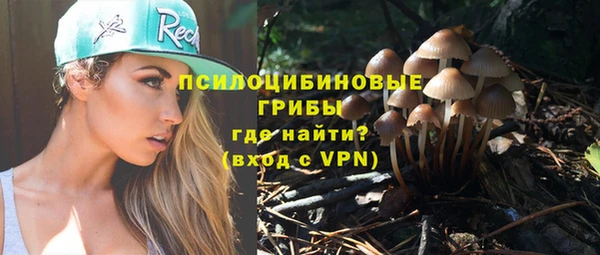 твердый Зеленодольск