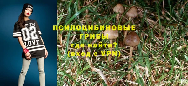 молекула духа Зеленокумск