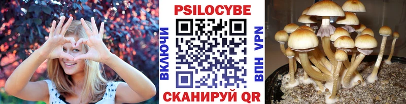 Псилоцибиновые грибы мицелий  Купить  Майский 